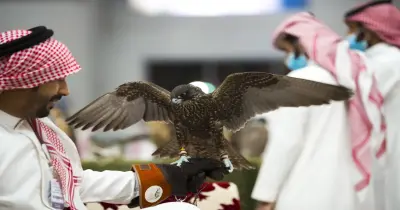 رابط حجز تذاكر معرض الصقور والصيد السعودي الدولي 2025