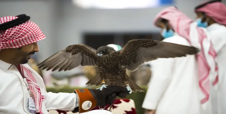  موعد معرض الصقور 2025 1447.. متى يبدأ وينتهي؟ 