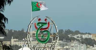 تردد قناة الجزائرية الأرضية 2026 على النايل سات.. استمتع بكأس الأمم
