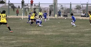 مجانا.. وادي دجلة يفتح باب الاختبارات بقطاع الناشئين