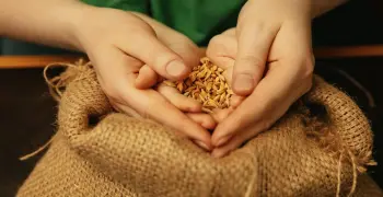 مقدار زكاة الفطر في الإمارات 2026 وكفارات الصيام