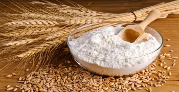 أماكن بيع دقيق القمح الكامل في مصر