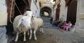 فاضل كم يوم على العيد الكبير 2026؟.. العد التنازلي