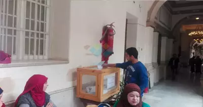 انتخابات الاتحاد.. هدوء في مرحلة الإعادة بكلية الحقوق جامعة القاهرة