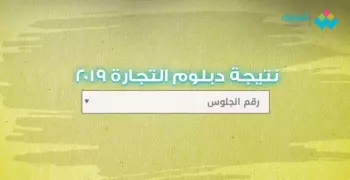 نتيجة دبلوم التجارة 2019 برقم الجلوس رابط مباشر.. نتيجة الدبلومات الفنية