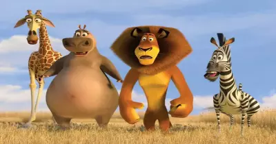 فيلم السهرة.. كرتون ومغامرة في «Madagascar2»