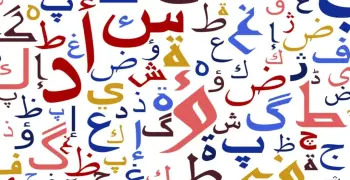 مذكرة النحو والاملاء والتعبير للصف الثالث الابتدائي الترم الأول 2027.. استعد للدراسة