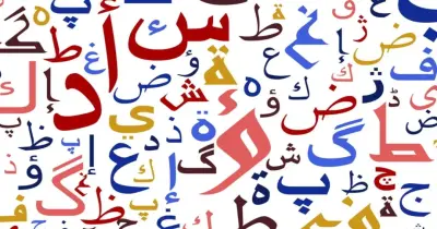 مذكرة النحو والاملاء والتعبير للصف الثالث الابتدائي الترم الأول 2027.. استعد للدراسة