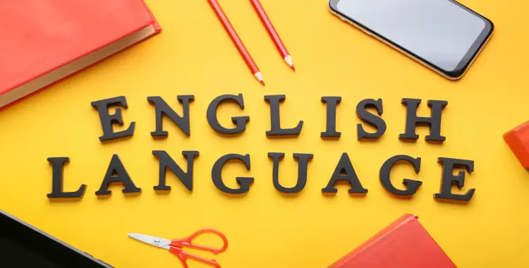  امتحانات كتاب الأضواء شهر نوفمبر إنجليزي للصف السادس الابتدائي 2026 بالإجابات 