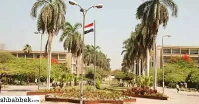 «التكنولوجيا الحيوية».. مسابقة طلابية يشارك فيها 17 جامعة مصرية