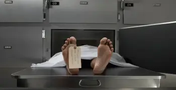 لغز الوجبة الأخيرة.. كيف أنهت أم أفريقية حياة أطفالها الثلاثة ببولاق الدكرور ؟