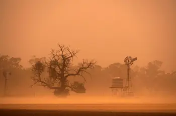 متى تنتهي العاصفة الرملية على مصر؟.. خلال الساعات المقبلة