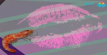 مأكولات لا تتناولها يوم زفافك.. بينها «الجمبري»