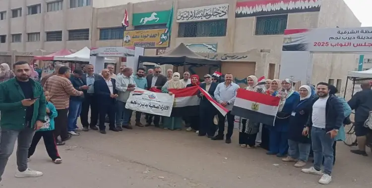  نتيجة انتخابات مجلس النواب 2025 الشرقية دائرة ديرب نجم والإبراهيمية (مؤشرات أولية) 