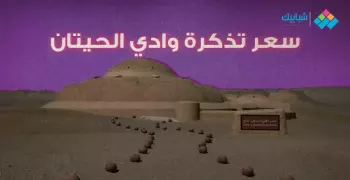 سعر تذكرة وادي الحيتان وأسعار التخييم (صور)