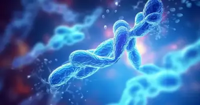 مراجعة المتفوق science الصف الثاني الإعدادي الترم الثاني 2026.. تنزيل مذكرة