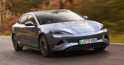 قفزة جديدة في سوق السيارات الكهربائية بمصر.. BYD تتصدر تراخيص يونيو 2026