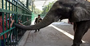 هل حديقة الحيوان مفتوحة في عيد الفطر 2026؟