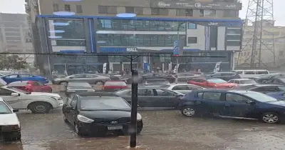 هل يوجد أمطار اليوم في القاهرة؟.. تفاصيل الحالة الجوية