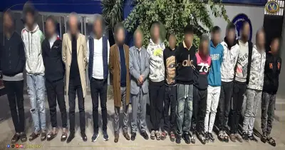 بتهم التحرش وإتلاف ممتلكات.. 12 من حضور فرح كروان مشاكل بقبضة الأمن