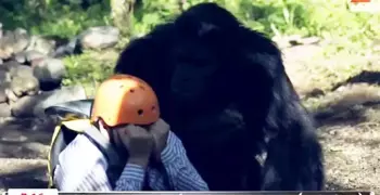 الفنان أحمد فتحي يصفع فتاة على وجهها