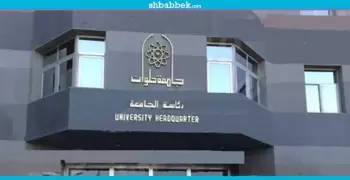 هل أثرت ثورة يناير على الصحف المحلية؟.. رسالة ماجيستير بجامعة حلوان