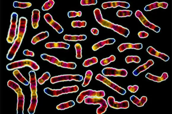 ما القاعدة التي توجد في rna ولاتوجد في dna؟