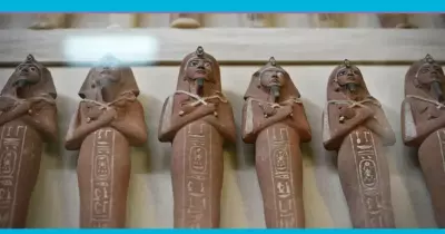 تفاصيل واقعة سرقة آثار جامعة سوهاج بمشاركة ولي أمر وعدد من الطلاب