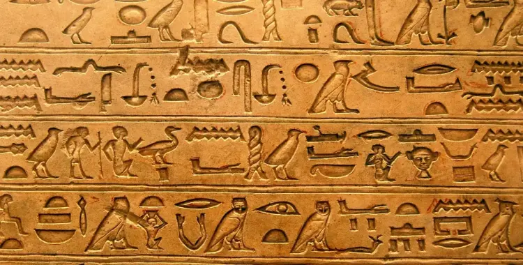  نماذج اختبارات شهر نوفمبر قطر الندى دراسات للصف السادس الابتدائي 2026 