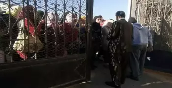 عميد كلية بالأزهر يمنع دخول الطالبات بـ«البناطيل الضيقة» (صور)