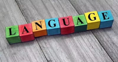 لو بتدرس لغات.. كتب وكورسات يوتيوب هتفيدك في الإجازة