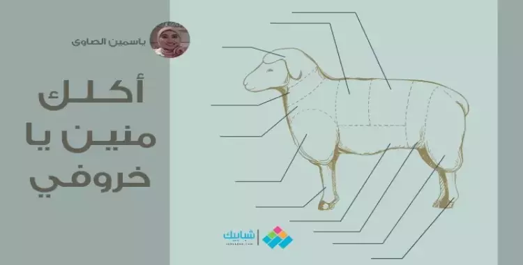  ياسمين الصاوي تكتب: أكلك منين يا خروفي 