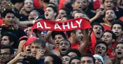 مدير الأهلي: ندرس مقترحات جماهير النادي لاتخاذ اللازم