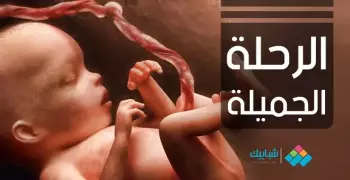 فيديو| «الرحلة الجميلة» حياة الجنين داخل رحم الأم