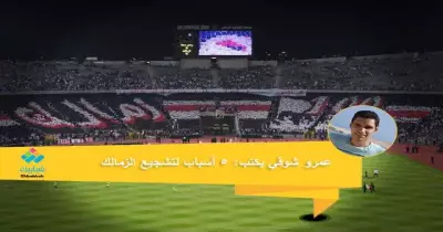 عمرو شوقي يكتب: 5 أسباب لتشجيع الزمالك