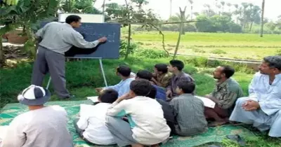 للخريجين.. كل ما تريد معرفته عن الخدمة العامة