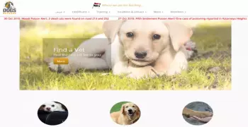 «دلع كلبك» مع «Dog Network»