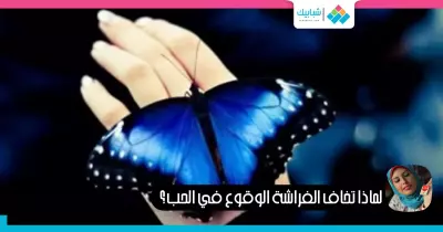 آية وهيب تكتب: لماذا تخاف الفراشة الوقوع في الحب؟