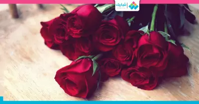 الورد.. لكل مناسبة لون