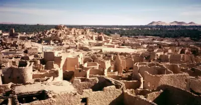 تخييم وقعدات عربي.. رحلة لسيوة بسعر مخفض