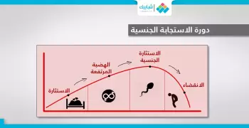 عارف بيحصلك أيه وقت الجماع.. دي دورة الاستجابة الجنسية