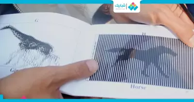 كتاب الصور المتحركة.. أسلوب جديد لتعليم الأطفال