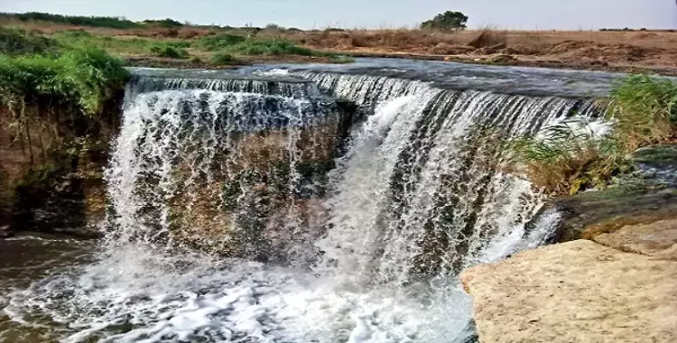  رحلة إلي وادي الريان بـ«حقوق عين شمس» 