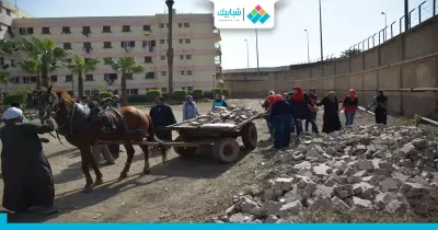 أسباب تنظيم جامعة القاهرة لـ«يوم الخدمة العامة»