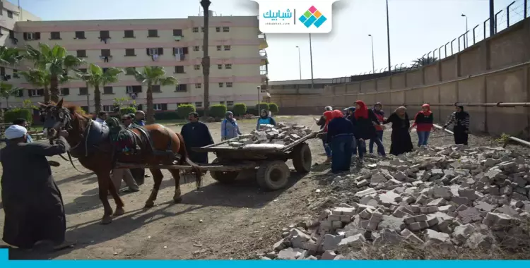  أسباب تنظيم جامعة القاهرة لـ«يوم الخدمة العامة» 