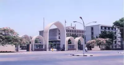 العام المقبل.. بدء الدراسة بـ«صيدلة قنا» وفرع لكلية الآثار بالأقصر