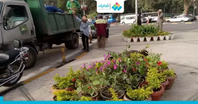 كيف استعدت جامعة القاهرة لاستقبال الملك سلمان (صور)