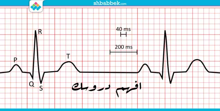  للطلاب.. افهم دروسك مع طريقة «PQRST» في 5 خطوات 