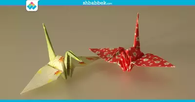 الثلاثاء.. ورشة تعليم الأورجامي بـ«سياسة القاهرة»