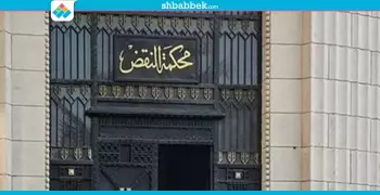 حكم نهائي بحبس منتصر الزيات وعبدالحليم قنديل 3 سنوات (فيديو)